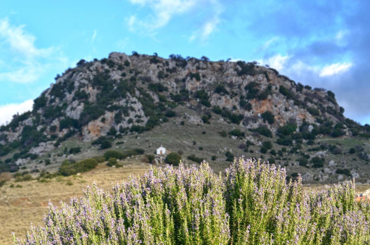 Levandes Houses Καλάβρυτα Εξωτερικό φωτογραφία